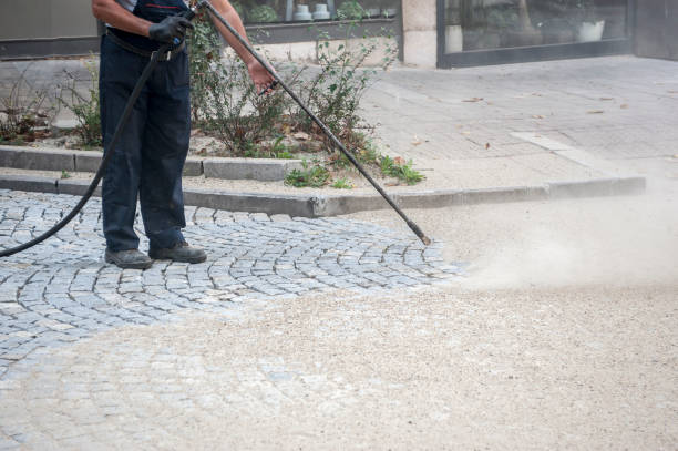 Best Animal Enclosure Cleaning  in Williston, SC